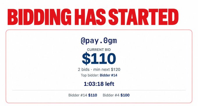 A bidding notification showing "BIDDING HAS STARTED" with a current bid of $110 by @pay.0gm, with 2 bids, top bidder #14, and 1:03:18 remaining.