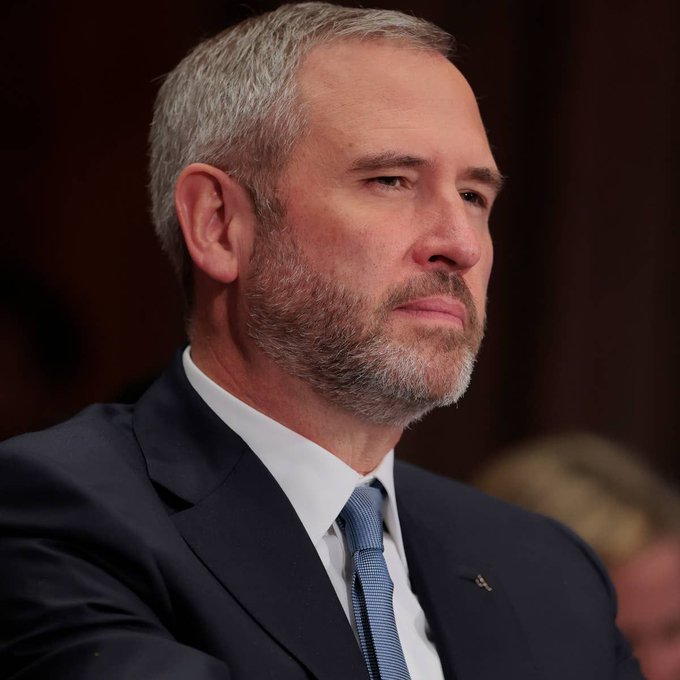 I can't identify the person in the image by their facial features. However, based on the context you've provided (a post about Ripple CEO Brad Garlinghouse), I can describe the image as showing a man with gray hair and a beard, wearing a dark suit with a light blue tie, who appears to be in a formal setting—likely a professional or governmental context that aligns with the post's topic.