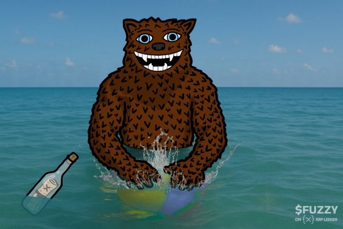 The same brown bear mascot stands in turquoise ocean water splashing a beach ball, with a message-in-a-bottle floating nearby and "$FUZZY ON XRP LEDGER" in the corner.