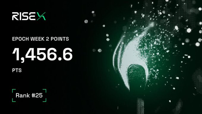 A RISE Chain dashboard showing Epoch Week 2 Points of 1,456.6 PTS with a Rank #25.