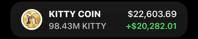 A dark-themed banner showing 'KITTY COIN' with 98.43M KITTY and a value of $22,603.69, showing a gain of +$20,282.01 in green.