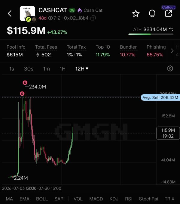 A crypto trading chart for "CASHCAT OG" (Cash Cat) showing a current market cap of $115.9M with a +43.27% gain and an all-time high of $234.04M, supporting the post's claim of the token "running back to new highs." The chart displays a significant price spike pattern from the low of 2.24M up to 234.0M, illustrating the rapid upward momentum referenced in the caption about Robinhood meme coins rallying.