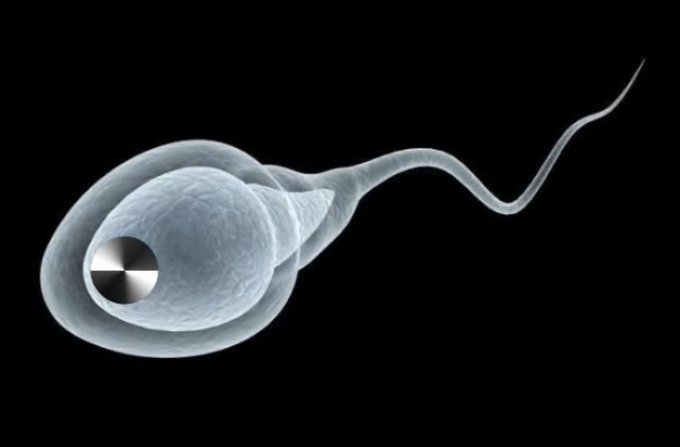 A scientific illustration depicts a sperm cell with a microchip-like device embedded in its head, representing a concept of micro-robotics or bio-engineered sperm.