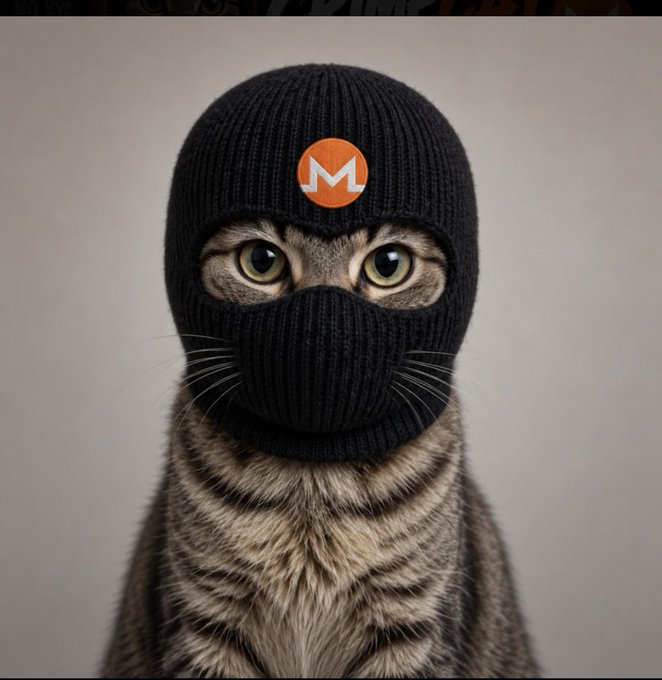 A tabby cat with green eyes wears a black ski mask (balaclava) featuring an orange circle with a white 'M' logo, possibly the Monero cryptocurrency symbol.