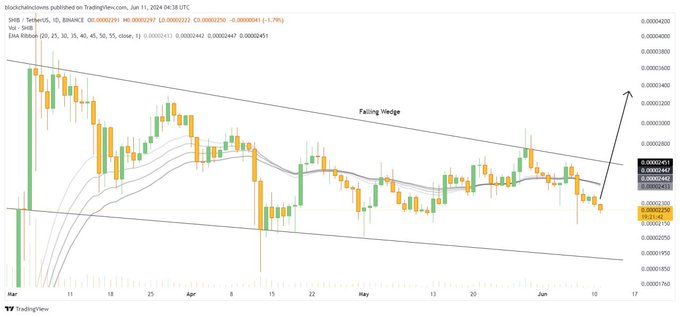 TradingView daily candlestick chart of SHIB/USD on Binance showing a 'Falling Wedge' pattern with an annotated arrow suggesting a potential breakout upward.