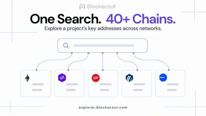 A Blockscout promotional graphic reading 'One Search. 40+ Chains. Explore a project's key addresses across networks' showing a search bar connected to multiple blockchain icons including Ethereum, Polygon, and Optimism.