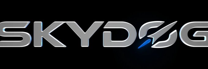 A metallic silver and chrome logo for 'SKYDOG' displayed against a black background, with a blue accent on the letter design.