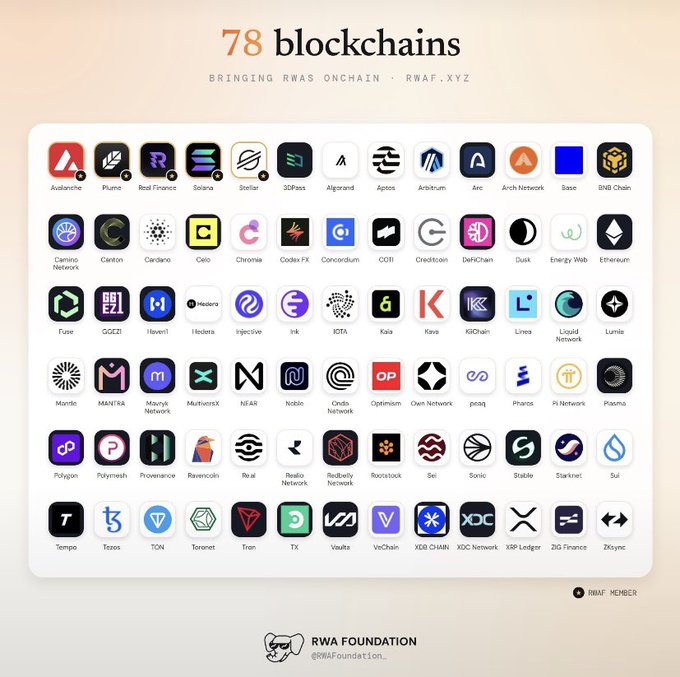 An infographic titled '78 blockchains - BRINGING RWAS ONCHAIN - RWAF.XYZ' displaying logos of various cryptocurrency networks including Avalanche, Solana, Ethereum, and Polygon, credited to RWA Foundation.