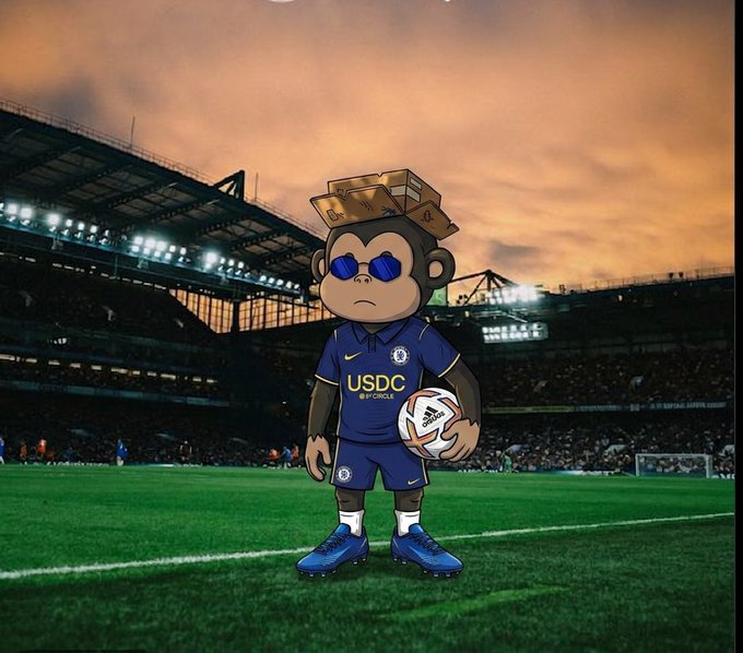 An animated cartoon monkey wearing sunglasses, a crown of cash, and a blue Chelsea FC soccer kit with 'USDC' and Circle sponsor logos, holding a ball on a stadium field at sunset.