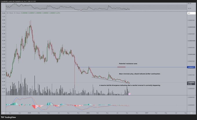 A TradingView daily candlestick chart of the cryptocurrency SUI/Binance shows price declining from ~$4.70 highs in late 2024 toward ~$0.32 support, with annotations noting a "Potential resistance zone," "Mass reversion play, should indicate further continuation," and "A massive bullish divergence indicating that a market reversal is currently happening," which visually reinforces the post's claim of SUI building bullish divergence.