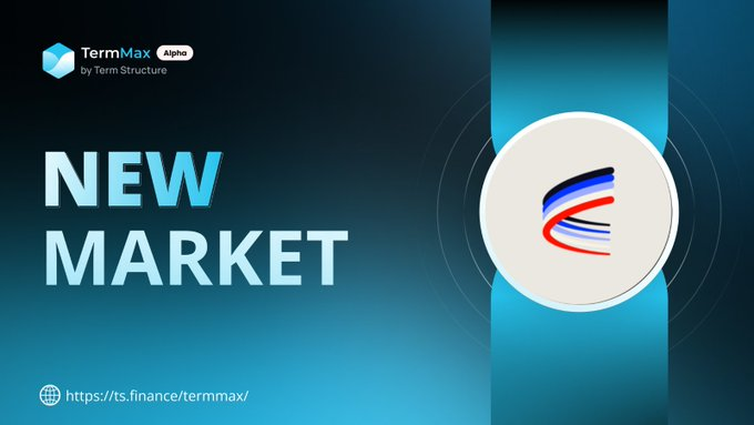 Promotional graphic for TermMax Alpha by Term Structure announcing a 'NEW MARKET' with link https://ts.finance/termmax/, featuring a logo with red, blue, and white swooshes.