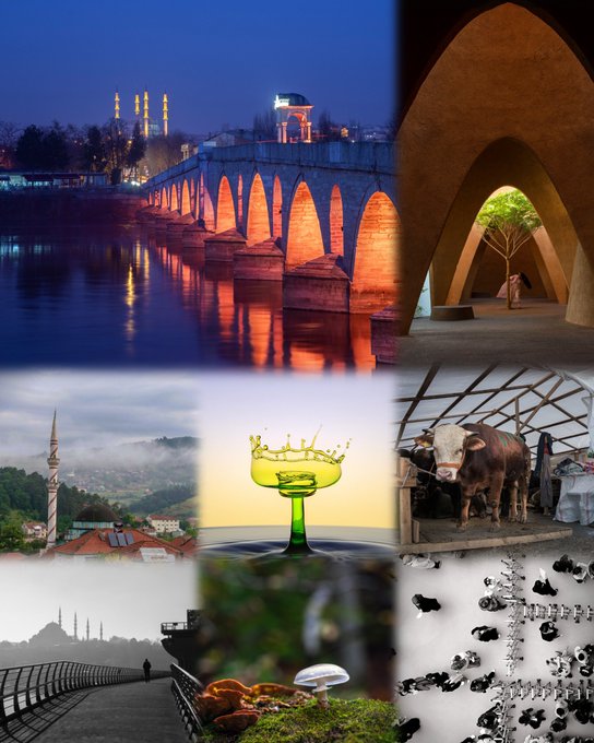 A 3x3 grid photo collage featuring various scenes including an illuminated bridge at dusk, an architectural archway, a mosque with a minaret, a green glass dessert cup with a crown, a brown cow, a foggy waterfront promenade, a forest mushroom, and cattle in snow.