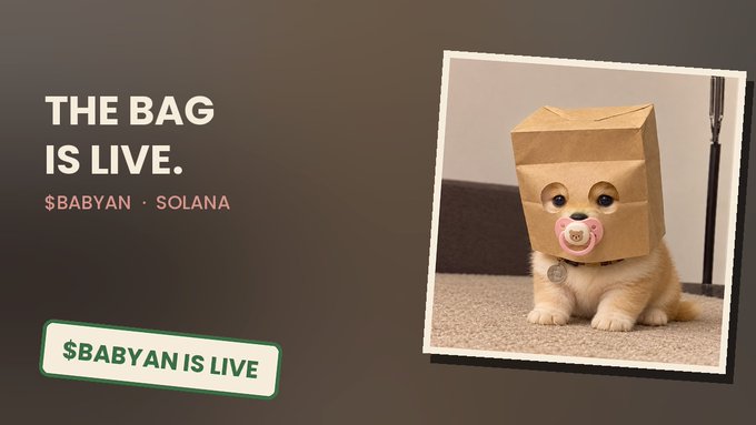 A promotional graphic with the text 'THE BAG IS LIVE' and '$BABYAN · SOLANA,' featuring a photograph of a golden retriever puppy wearing a brown paper bag on its head with a pink pacifier.