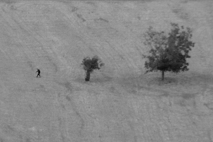 A grainy black and white image showing a lone figure walking across an open field between two trees.