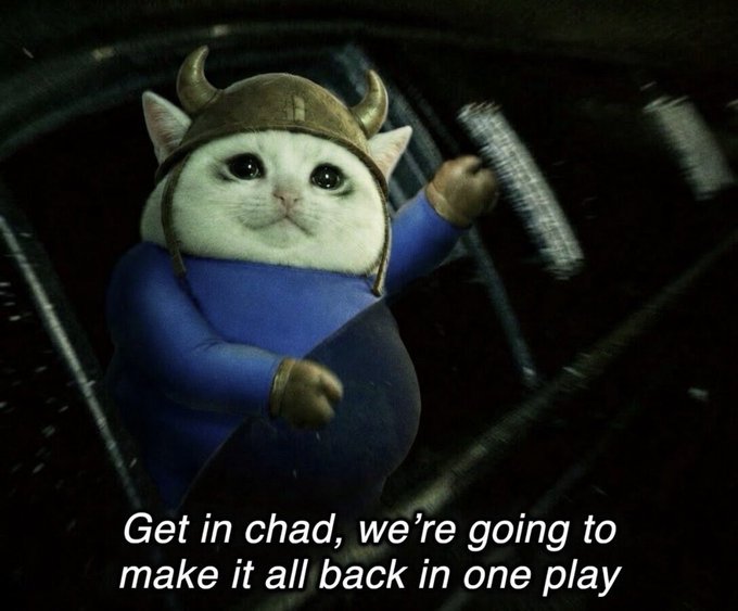 A chubby white cat wearing a horned Viking helmet and blue outfit stands triumphantly, paired with the caption "Get in chad, we're going to make it all back in one play." The meme captures the bold, all-in enthusiasm of crypto traders chasing a new Solana token, echoing the post's excitement about a promising project blending bullish momentum and meme appeal.