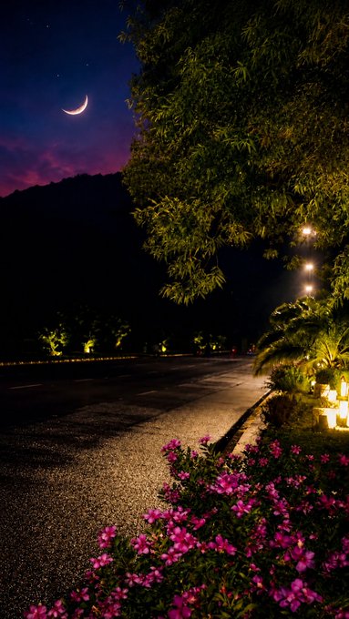 A nighttime scene showing a road lined with trees and pink flowers, illuminated by street lamps, with a crescent moon in a purple and blue sky.