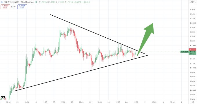 A 1-hour candlestick chart of SUI/TetherUS on Binance shows price consolidation within a symmetrical triangle pattern around $1.1728 (with a recent +0.60% gain), accompanied by a large green arrow suggesting a bullish breakout "launch" as referenced in the post.