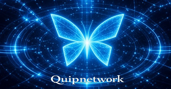 A glowing blue butterfly logo with the text 'Quipnetwork' displayed on a dark, sparkling starry background.