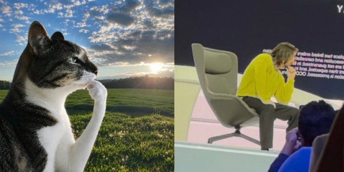 The left side shows a thoughtful cat gazing at a sunrise over a green field, while the right side displays a person in a yellow sweater sitting on a chair in what appears to be a presentation setting, embodying the contemplative optimism of a bullish market mood heading into October ("Uptober").