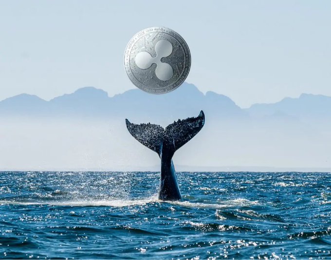 A surreal image showing a whale tail emerging from the ocean with a large silver XRP (Ripple) cryptocurrency coin floating in the sky above it, with mountains in the hazy background.