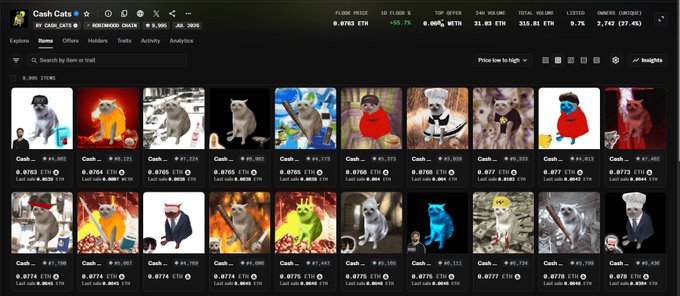 A screenshot of a cryptocurrency NFT marketplace page displays the "Cash Cats" collection, showing 21 OVR PRICE and a 24-hour price change of +55.7%, with the floor price at 0.0753 ETH and total volume of 311.03 ETH. The page features a grid of various cat NFT artwork images with individual price tags, supporting the post's mention of Cash Cats as a newly minted NFT project added to the user's Robinhood holdings list for potential whitelist opportunities.
