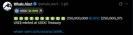 A tweet screenshot from @whale_alert showing '250,000,000 $USDC (250,000,375 USD) minted at USDC Treasury' with a link to whale-alert.io/tx/solana/3xWR...