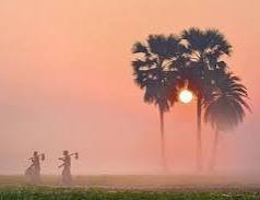 Two silhouetted cyclists ride along a foggy path beside palm trees with the sun glowing through the misty atmosphere in a pink-hued landscape.