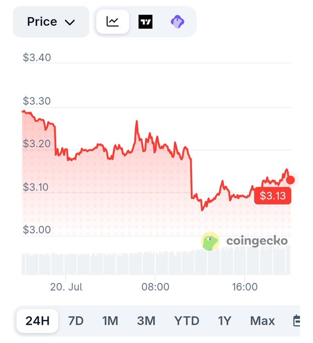 A CoinGecko price chart shows a 24-hour trend for a cryptocurrency, with the price declining from around $3.28 to $3.13 over the course of the day.