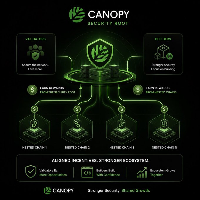 An infographic for 'CANOPY SECURITY ROOT' showing a tree-like structure connecting 'VALIDATORS' and 'BUILDERS' to 'NESTED CHAIN 1' through 'NESTED CHAIN N', emphasizing 'ALIGNED INCENTIVES. STRONGER ECOSYSTEM.'