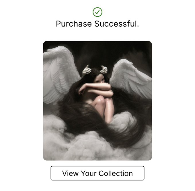 A 'Purchase Successful.' confirmation screen with an artistic image of a winged figure with long dark hair curled up in clouds, and a 'View Your Collection' button.