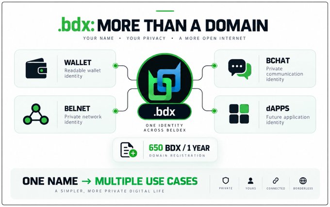 An infographic for '.bdx: MORE THAN A DOMAIN' showing how one identity works across Beldex for Wallet (Readable wallet identity), BChat (Private communication identity), Belnet (Private network identity), and dAPPS (Future application identity), priced at 650 BDX/1 YEAR.