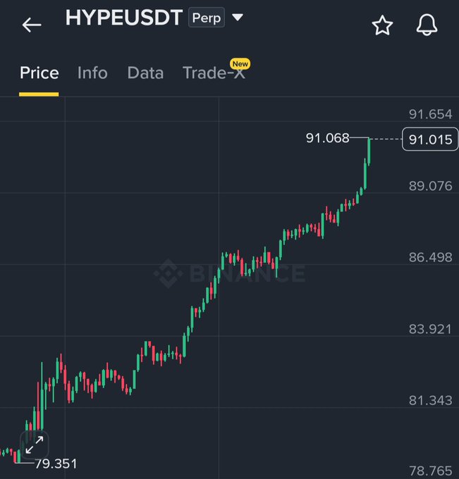 A Binance perpetual futures chart for HYPEUSDT shows a strong uptrend, with the price surging from $79.351 to a new high of $91.068, currently trading at $91.015. This visual confirms the post's claim that $HYPE has reached a new all-time high, serving as promotional evidence for the VIP trading group.