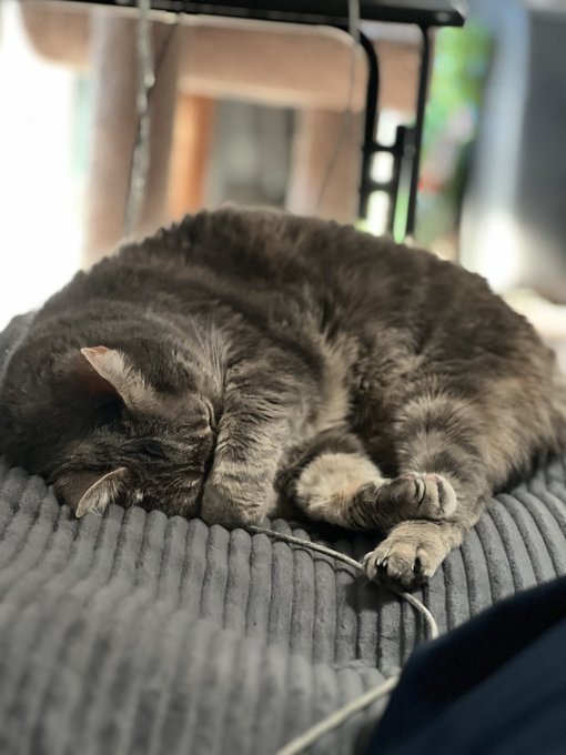 A dark gray tabby cat is curled up sleeping peacefully on a ribbed gray fabric surface, with blurred background elements suggesting an indoor setting.