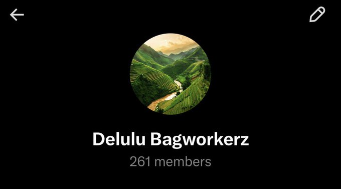 The image shows a group called "Delulu Bagworkerz" with 261 members, featuring a landscape profile picture of green hills with a river. The caption aligns with the post's message about creating a dedicated, drama-free community for bagworkers—holders of low-cap coins—to connect and share long-term convictions.