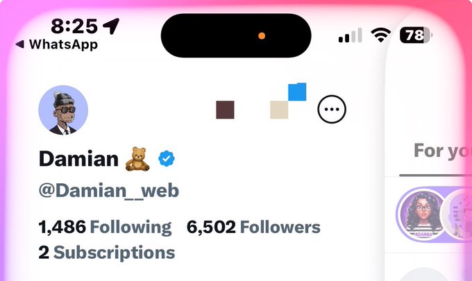 A screenshot of an iPhone displaying a social media profile for 'Damian' (@Damian_web) with a teddy bear emoji, showing 1,486 Following, 6,502 Followers, and 2 Subscriptions.