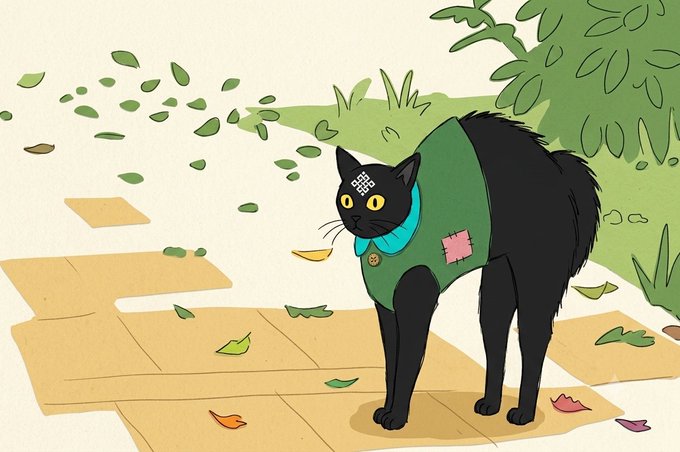 An illustration of a black cat wearing a green sweater with a teal collar, standing on a stone path scattered with autumn leaves.