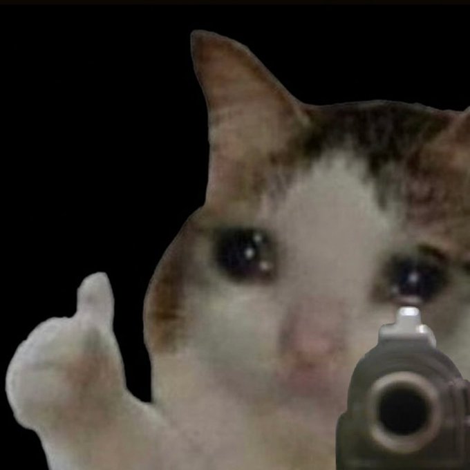 A close-up of a cat with large, tearful eyes holding what appears to be a gun pointed at the viewer.