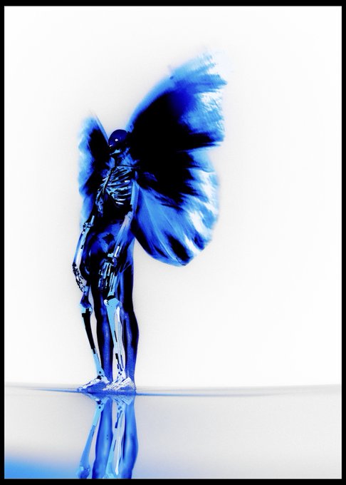 A blue-tinted artistic image of a skeletal figure with large feathered wings, standing on a reflective surface against a white background.