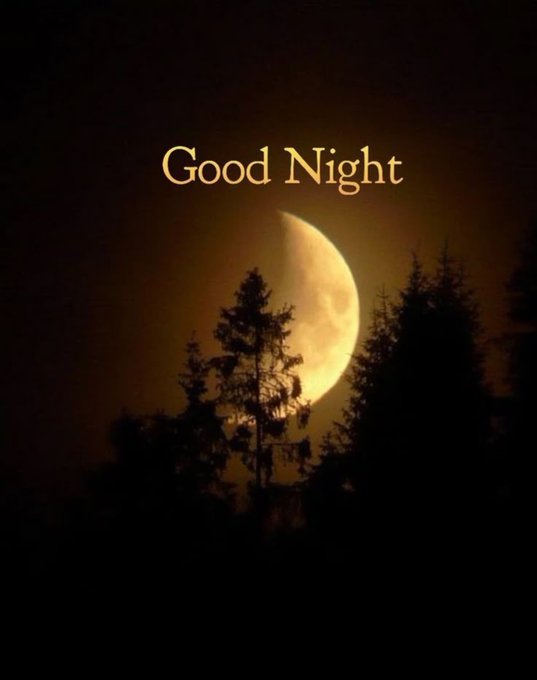 A nighttime scene with a glowing crescent moon behind silhouetted pine trees and the text 'Good Night' in golden letters.