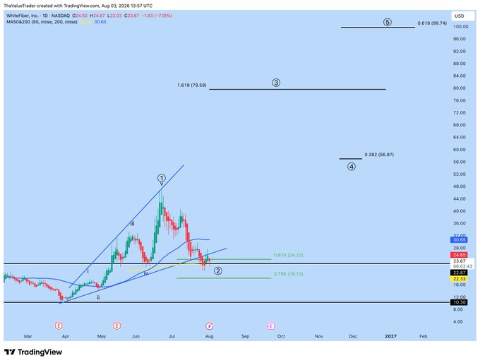 A daily candlestick chart of WhiteFiber, Inc. (WYFI) on NASDAQ displays Elliott Wave analysis with labeled waves 1-5 and Fibonacci extension targets at $24.23, $56.97, $79.59, and $99.74, supporting the post's claim of a 4X upside potential to the Wave 5 target near $100. The stock currently trades at $24.60, having pulled back from recent highs, with the chart illustrating the projected path to the bullish $99.74 Wave 5 objective.