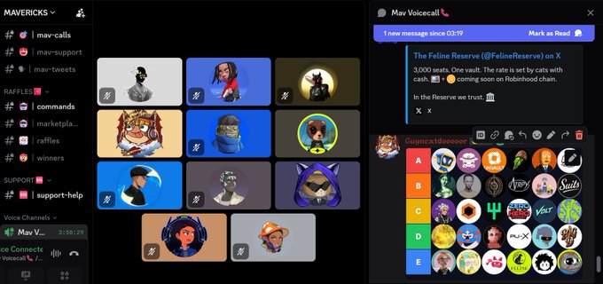 A Discord server interface for 'Mavericks' and 'Raffles' shows various user avatars, voice channels, and a Voicecall with a message about 'The Feline Reserve (@FelineReserve) on X' with 3000 seats available.