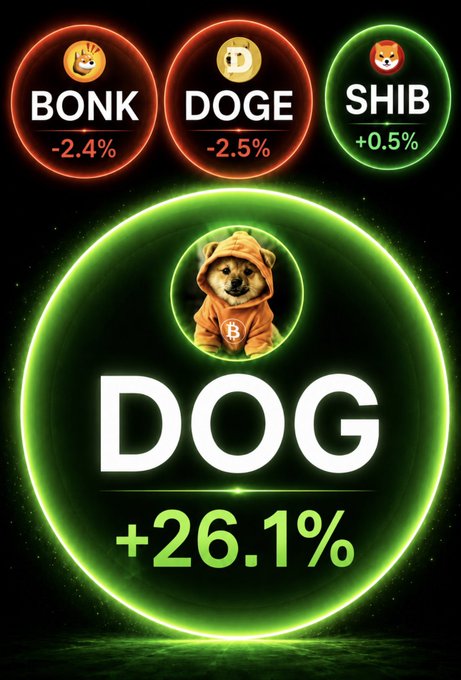 A neon-styled graphic shows cryptocurrency tickers BONK (-2.4%), DOGE (-2.5%), and SHIB (+0.5%) in red circles, with a large green circle below featuring a dog in a hoodie and the text 'DOG +26.1%'.