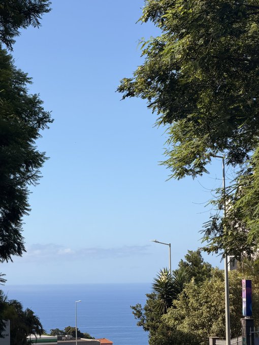 A clear blue sky overlooks the ocean, framed by lush green trees, with a street lamp and what appears to be a sign visible on the right side.

This image relates to the "Good morning. Solana address" post as a serene, welcoming greeting—a peaceful seaside view that complements a morning message, likely shared alongside cryptocurrency wallet details.