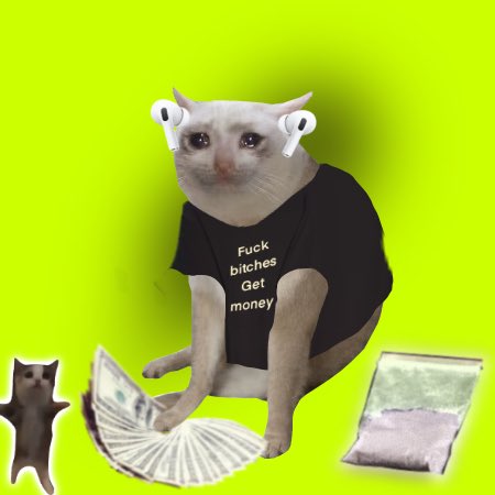 A humorous meme image of a cat wearing earbuds and a black shirt that says 'Fuck bitches Get money' on a green background, surrounded by money and other cats.