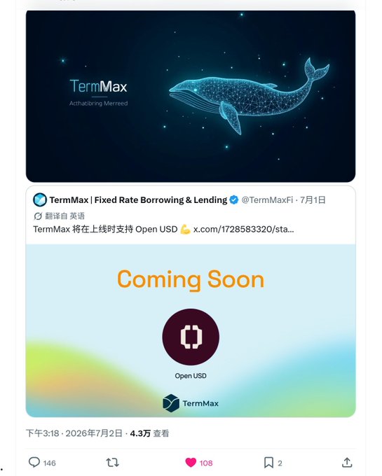 A Twitter post by TermMaxFi (@TermMaxFi) about supporting Open USD, featuring a whale logo and 'Coming Soon' graphic.