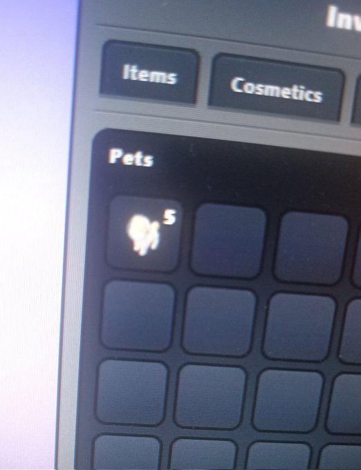 The image shows a computer screen with a mouse cursor over a list of items, including cosmetics and pets. The focus of the image is on the "Pets" section, which has an item labeled as a "5 Asteroid shibas". This indicates that there are five pet-related items available for purchase in this particular category.