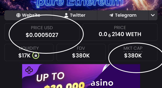 A cryptocurrency website displays 'pure Ethereum' with two circled areas highlighting the price at $0.0005027 and the market cap at $380K.