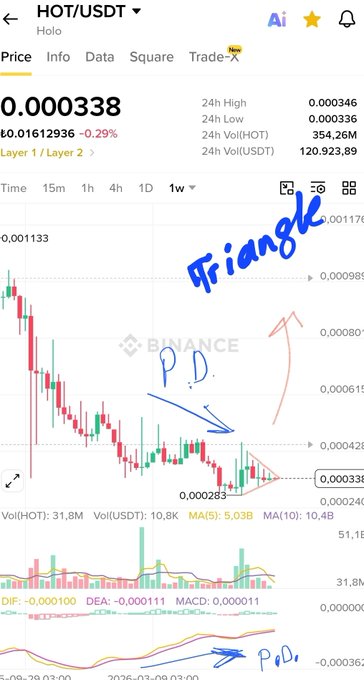 A Binance candlestick chart for HOT/USDT shows a 1-week view at a price of 0.000338 (down 0.29%), with hand-drawn annotations including a "Triangle" pattern, "P.D." (potential dump) and "P.U." (potential up) labels, and an arrow suggesting a bounce—visually echoing the poster's frustration with the token's downward spiral.