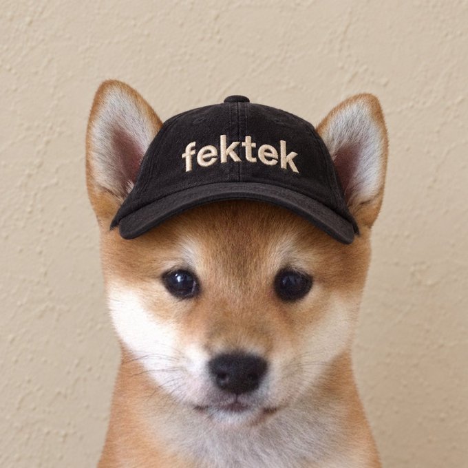 A close-up portrait of a Shiba Inu dog wearing a black cap with the embroidered word "fektek" in gold lettering.