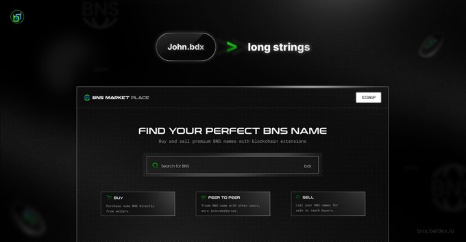 A screenshot of the BNS Market Place website promoting BNS (blockchain) names for sale, with text 'FIND YOUR PERFECT BNS NAME' and options to Buy, Peer to Peer, or Sell names.